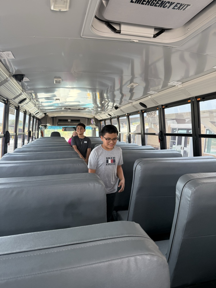 bus