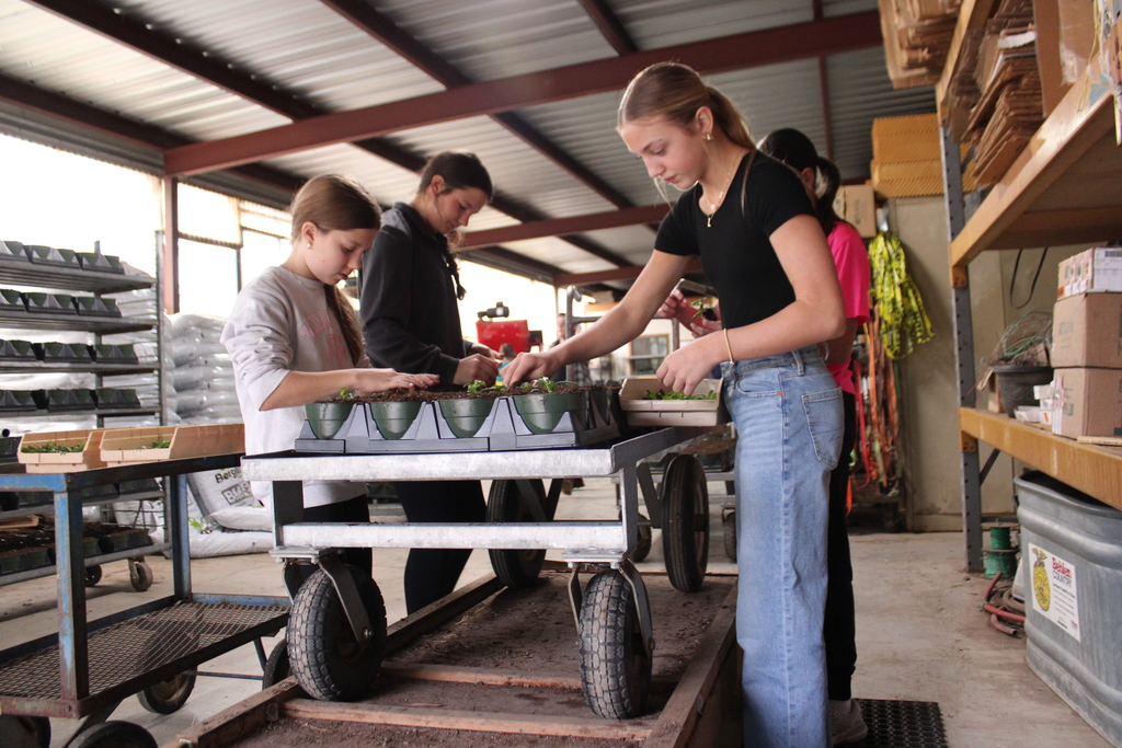Our Thrall National Junior Honor Society students spent the morning serving at DownHome Ranch, and we couldn’t be more proud of their hard work and heart!  Students helped plant 4,000 poinsettias  and assisted with decorating for an upcoming  event. They showed teamwork, responsibility, and true leadership.  A huge thank-you to DownHome Ranch for welcoming us and giving our students the opportunity to make a meaningful impact. 💛  Way to go, NJHS Tigers! 🐯✨