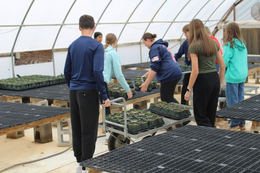 Our Thrall National Junior Honor Society students spent the morning serving at DownHome Ranch, and we couldn’t be more proud of their hard work and heart!  Students helped plant 4,000 poinsettias  and assisted with decorating for an upcoming  event. They showed teamwork, responsibility, and true leadership.  A huge thank-you to DownHome Ranch for welcoming us and giving our students the opportunity to make a meaningful impact. 💛  Way to go, NJHS Tigers! 🐯✨