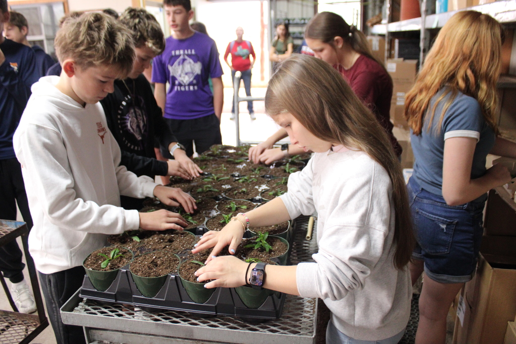 Our Thrall National Junior Honor Society students spent the morning serving at DownHome Ranch, and we couldn’t be more proud of their hard work and heart!  Students helped plant 4,000 poinsettias  and assisted with decorating for an upcoming  event. They showed teamwork, responsibility, and true leadership.  A huge thank-you to DownHome Ranch for welcoming us and giving our students the opportunity to make a meaningful impact. 💛  Way to go, NJHS Tigers! 🐯✨