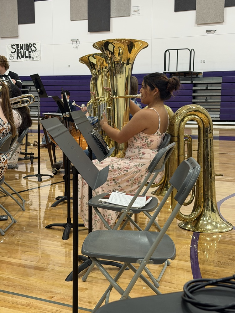 concert