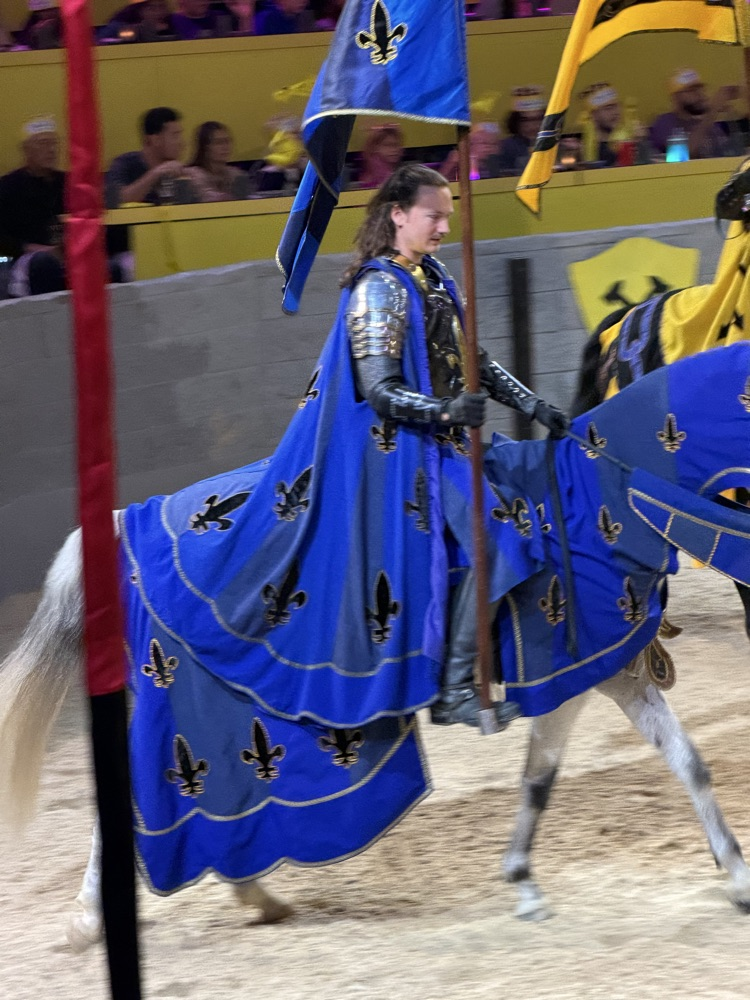Our Blue Knight