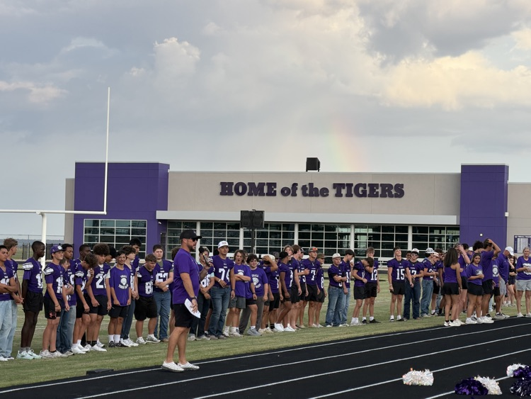 Meet the Tigers