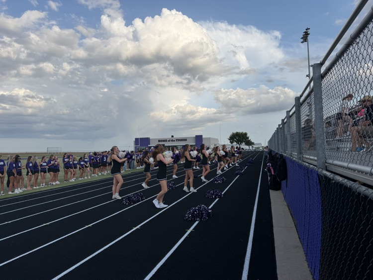 Meet the Tigers