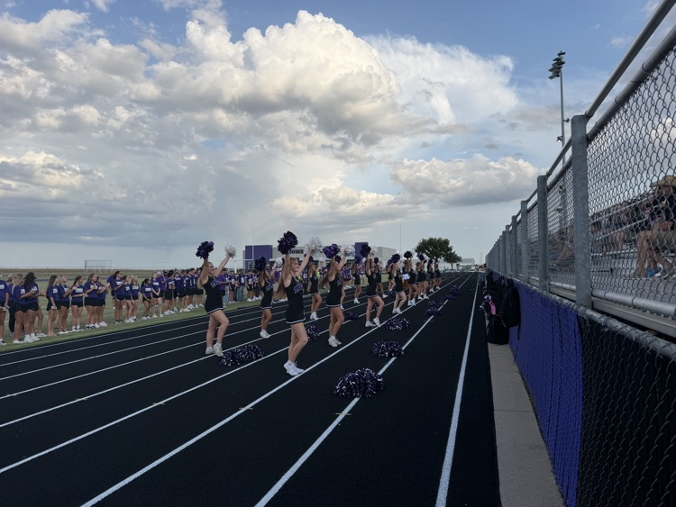 Meet the Tigers