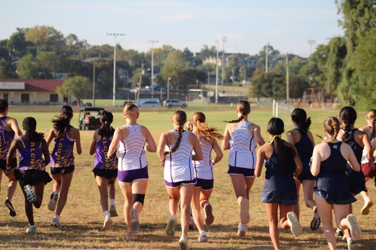 Brenham XC 