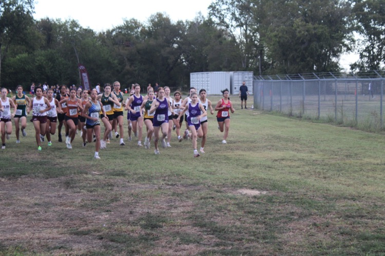 hs district cc