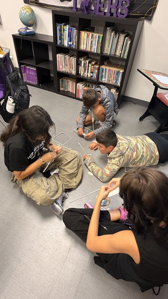 Our 6th grade Social Studies students put their knowledge of different types of government to the test by building structures using only straws and tape! Each group was assigned a different system of government, and the rules of their government determined how they could work together. It was a fun way for students to experience firsthand how different systems of government can affect decision-making, leadership, cooperation, and power.