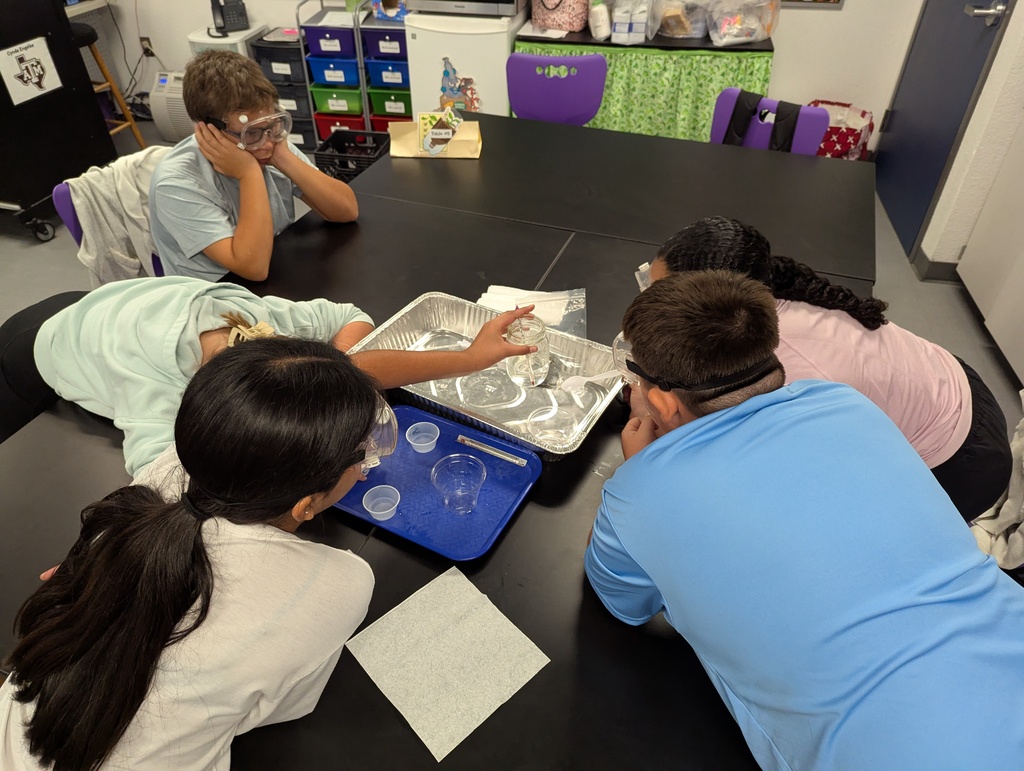 What happens when you mix different substances together? Our 6th graders investigated that question during their chemical reactions lab!  Students worked through a series of reactions, watched for evidence of change, and recorded what they observed along the way. A little mixing, a little measuring, and a lot of curiosity made for a great day in the science lab!