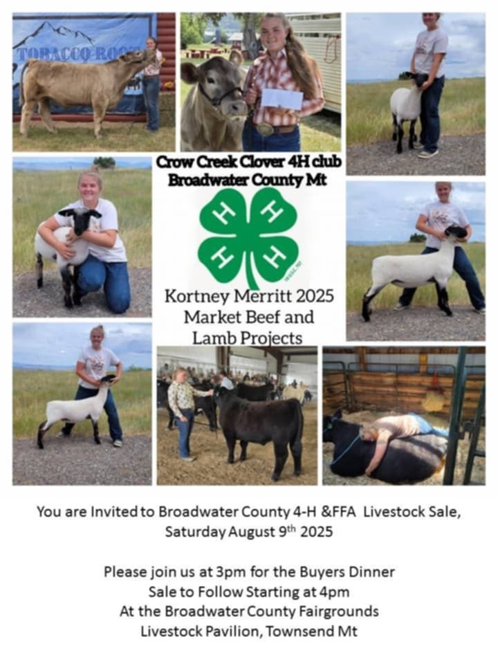 Three Forks FFA