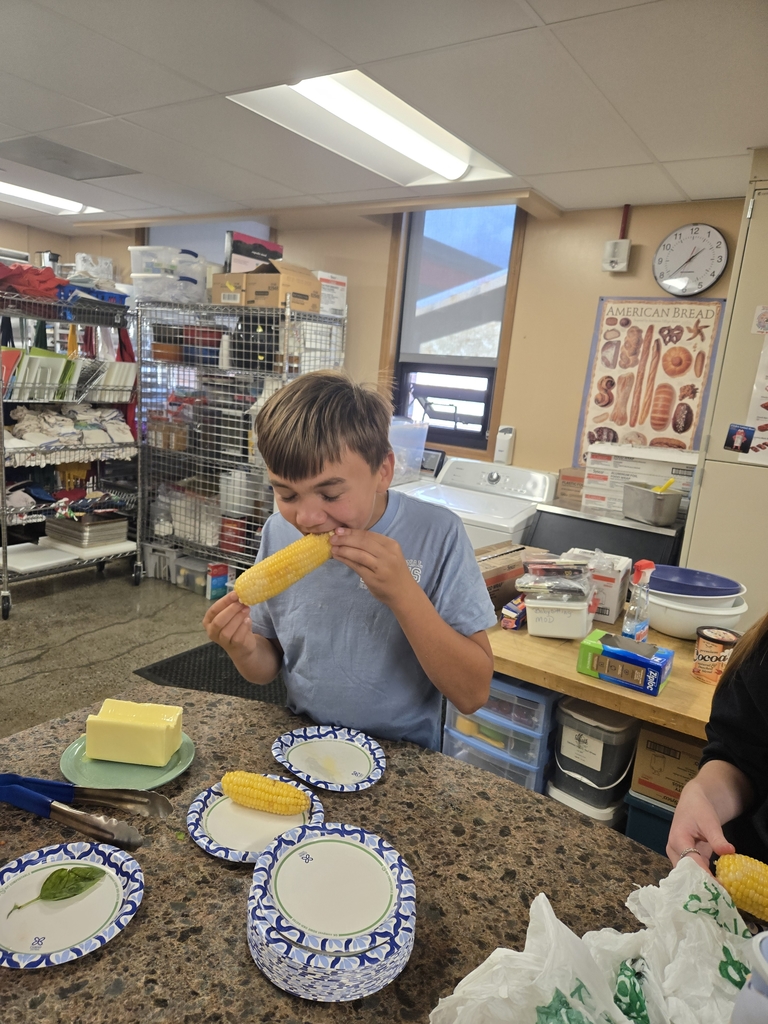 Fresh corn on the cob from the school garDen