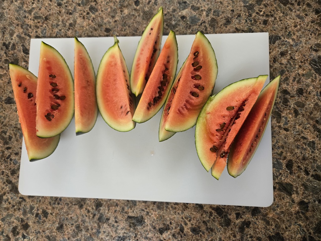 fresh watermelon grown in Three Forks. thanks Kinsi