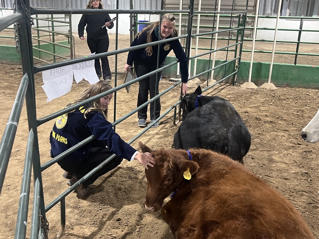 FFA