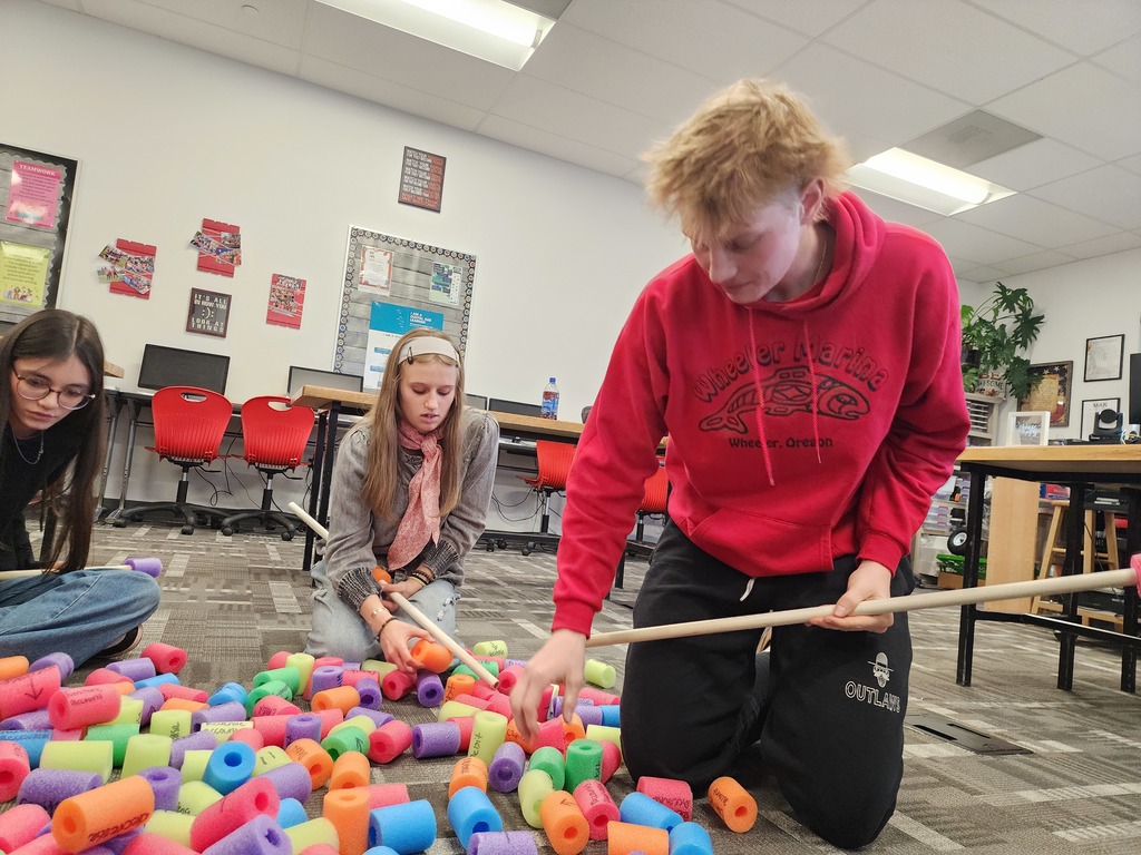 Pool Noodle Accounting