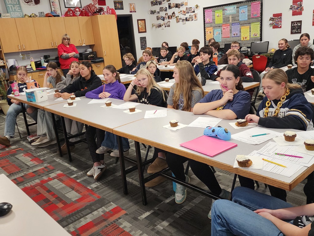 Career Connection Project