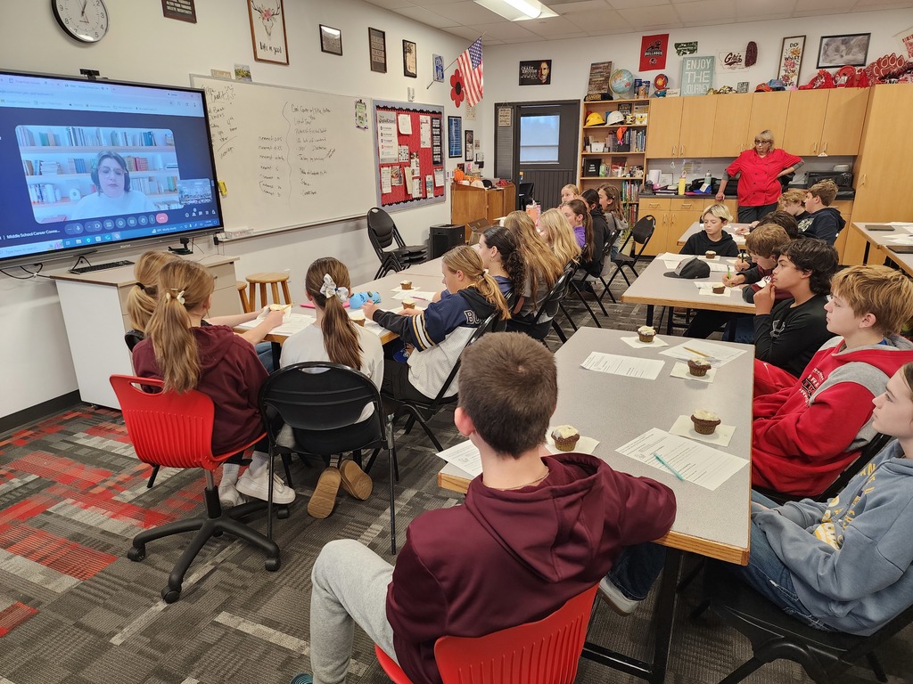 Career Connection Project