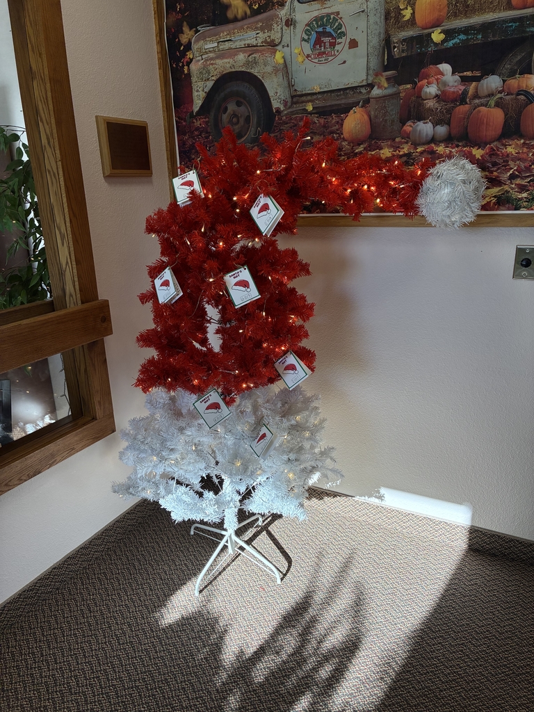 Santa's Hat brings holiday cheer to local children. visit a bank in Three Forks, pick a tag, purchase gifts and return them with the tag to Three Forks Schools to spo sor a child for the holidays. thank you!