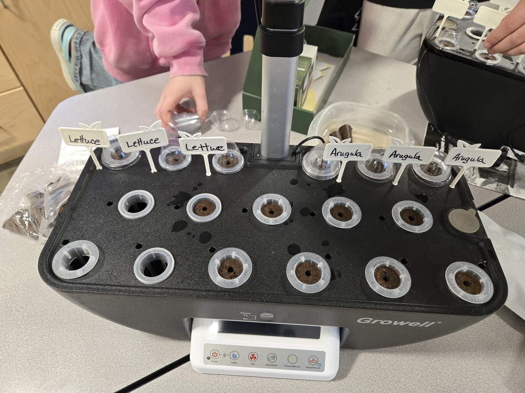 planting seeds for our school garden. Spring will be here before you know it!