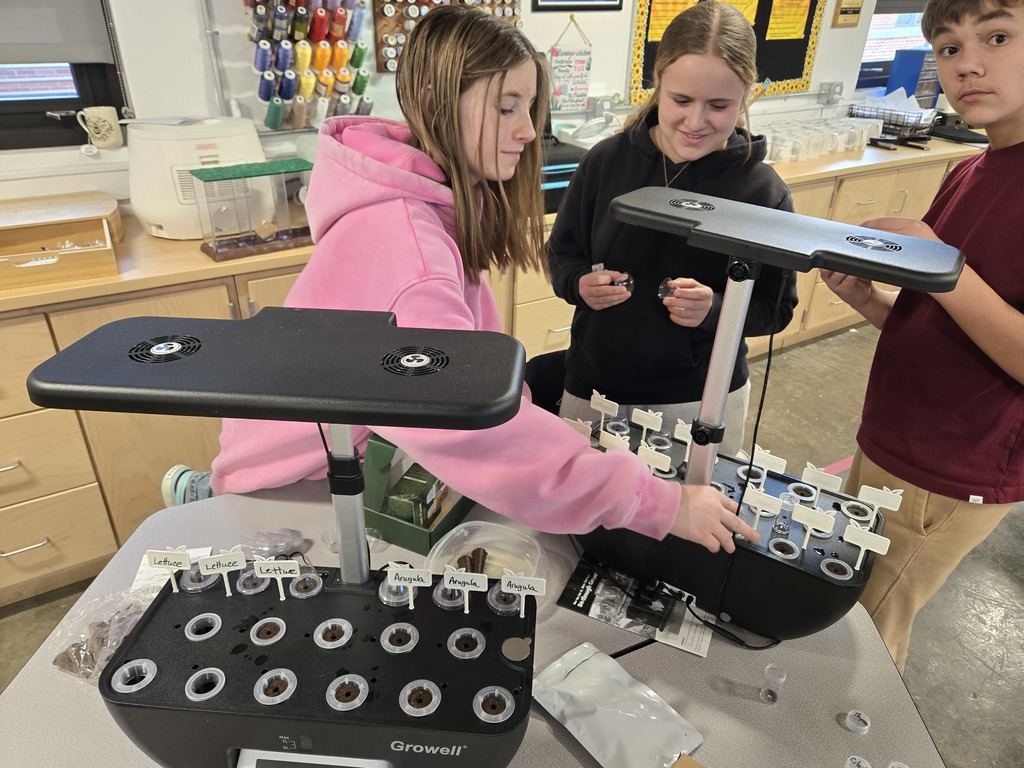 planting tomatoes tomorrow.