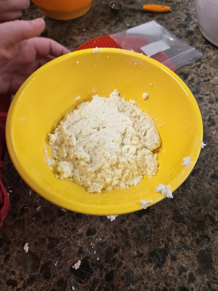 Curds and Whey. Little Miss Muffet would have been right at home in Food Science. tomorrow we make our curds into mozzarella cheese! Food Science is pretty cool