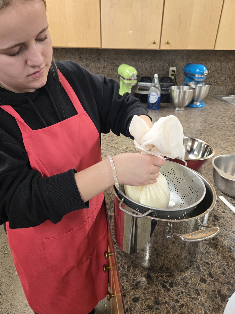 separating the curds and whey in the cheese making process.