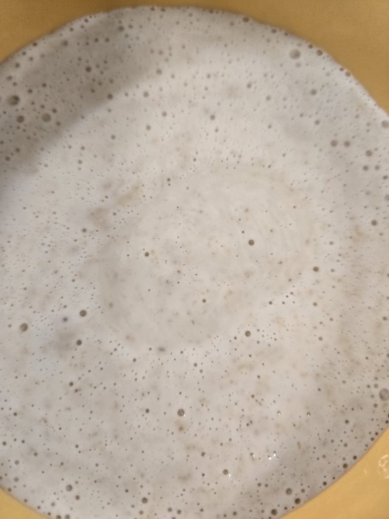 We made our own starter using whole wheat flour, water and patience.