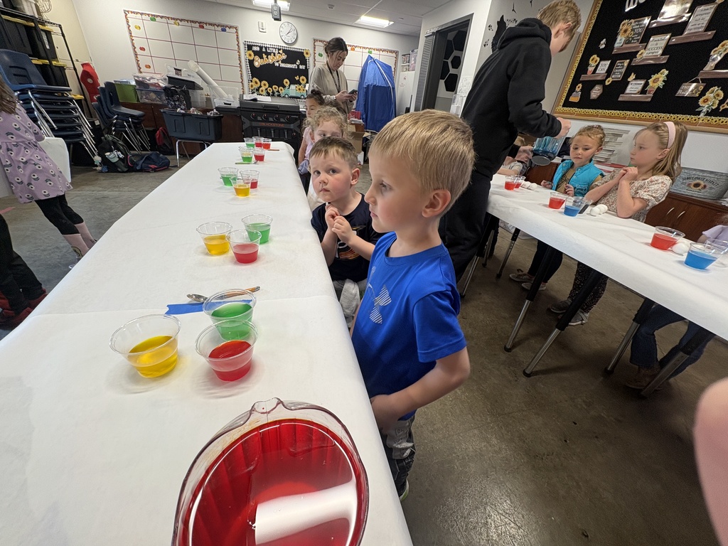 Ready to dye Easter eggs.