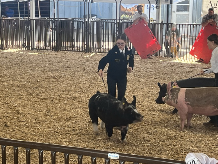 ffa