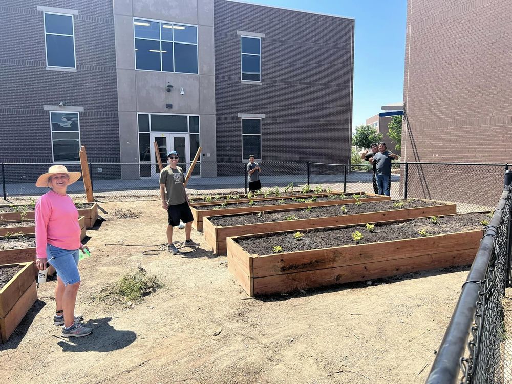 Aquaponics done! Hydroponics done! Stage 1 of the community garden - Done!