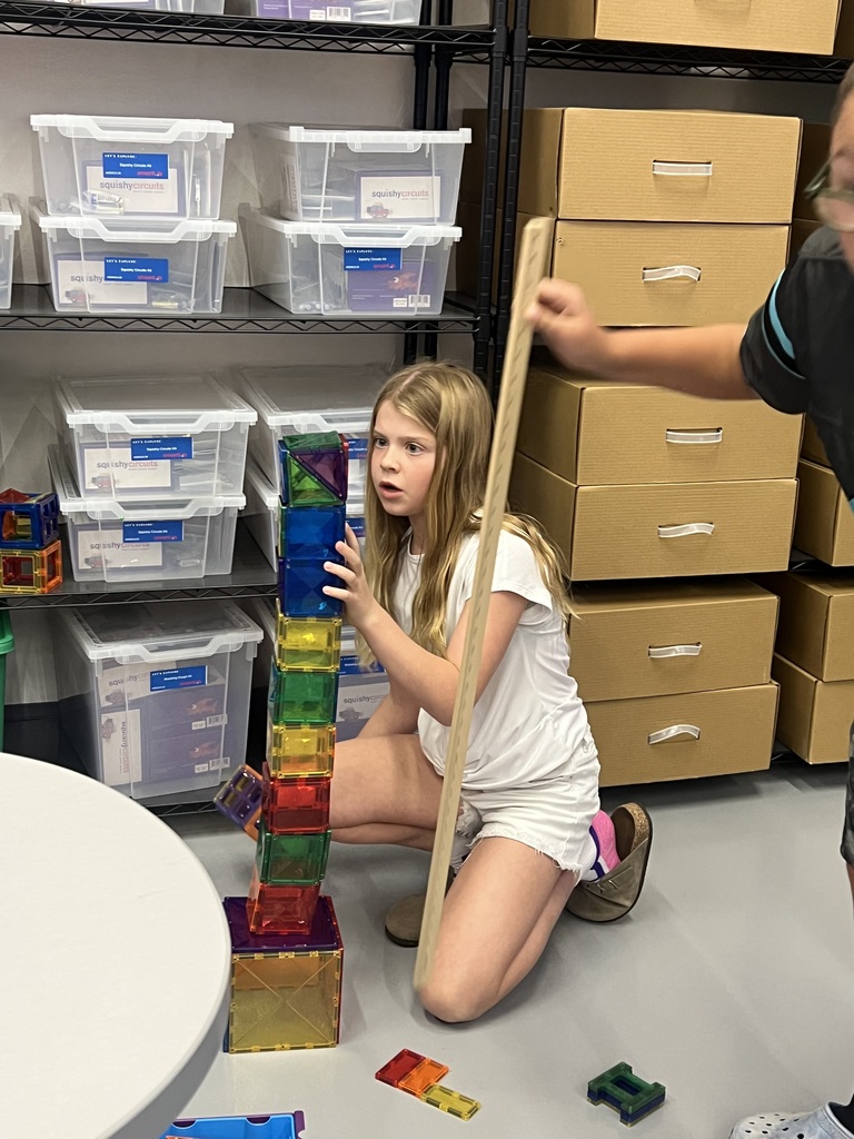 STEM structures students built