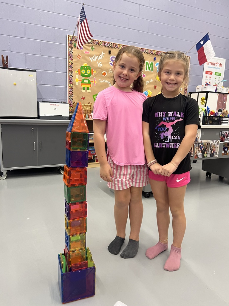 STEM structures students built