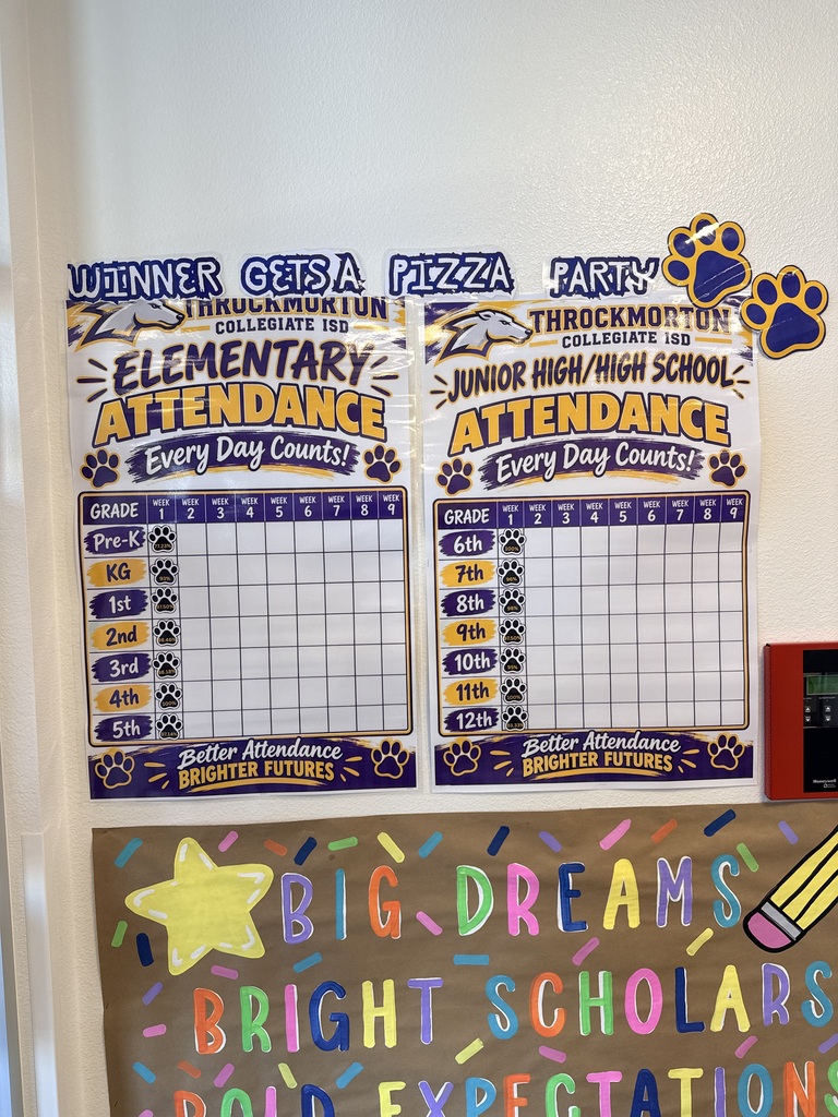 2 attendance graphs