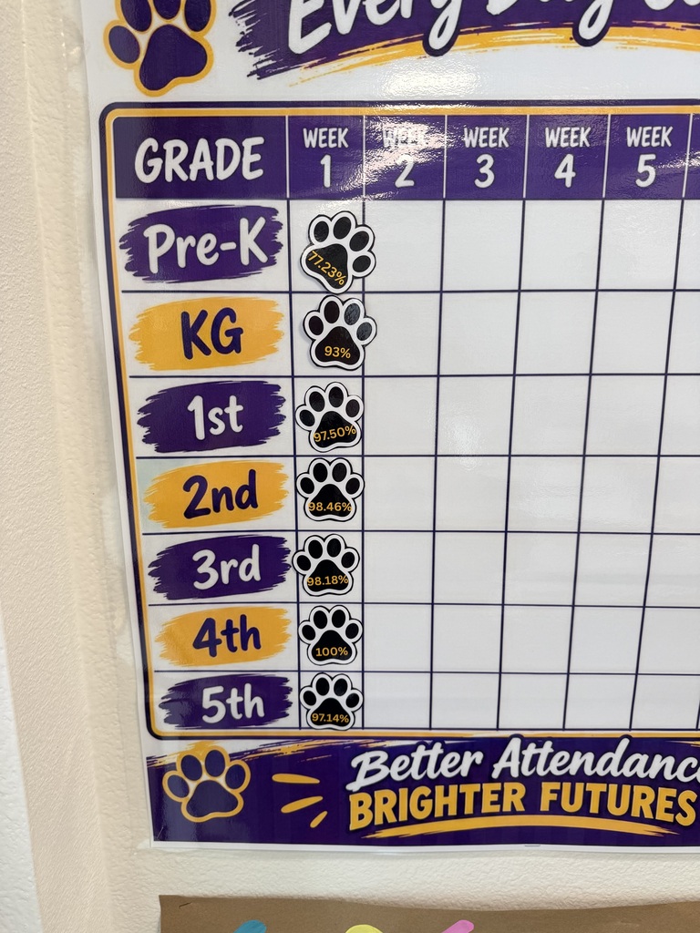 Elementary attendance graph