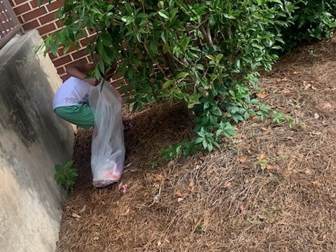 earth day
