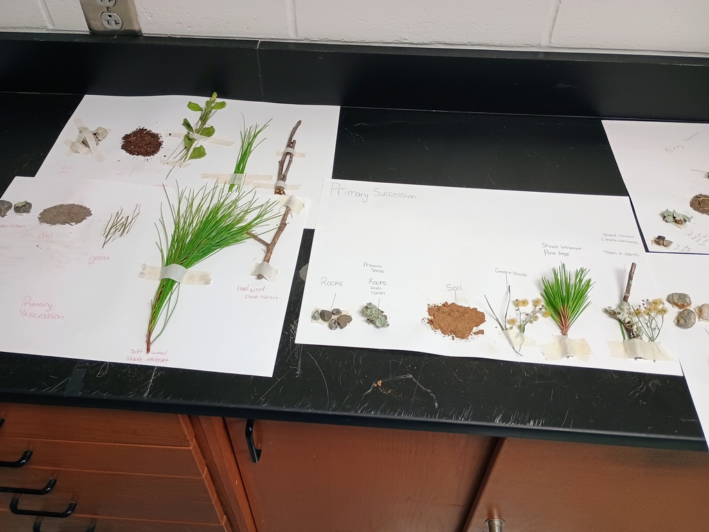 Environmental Lab Aug 8 (2)