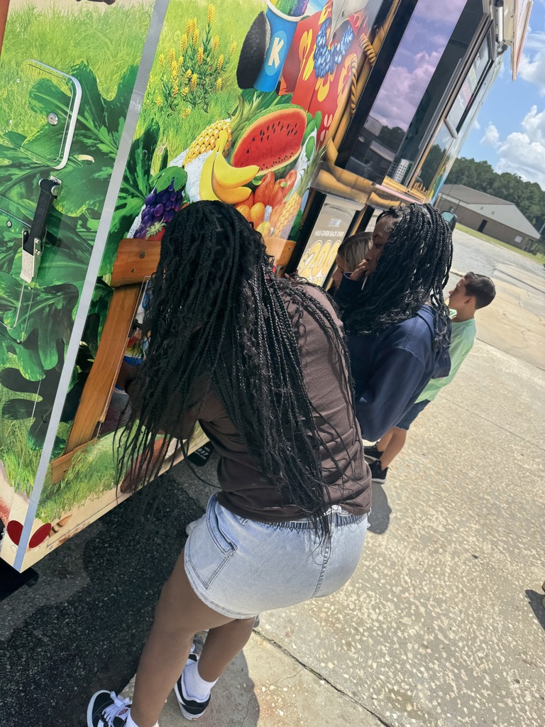 Kona Ice 3