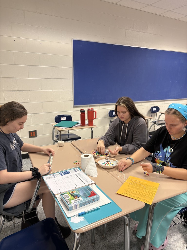 ECON Bead Sorting Activity (4)