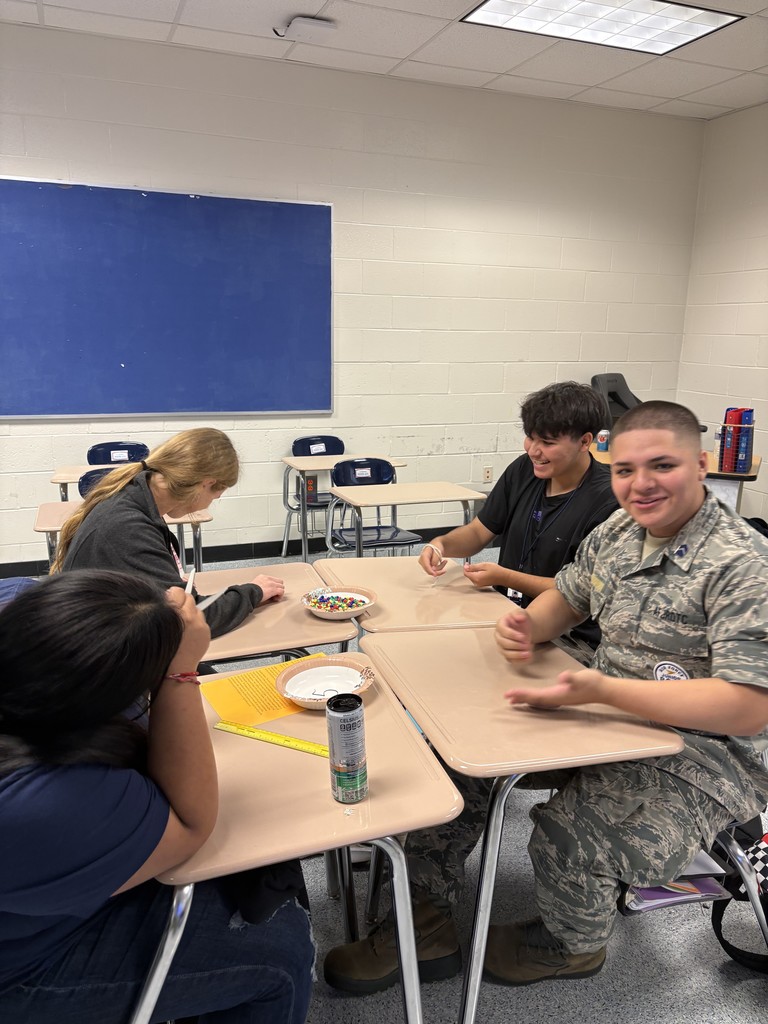 ECON Bead Sorting Activity (2)