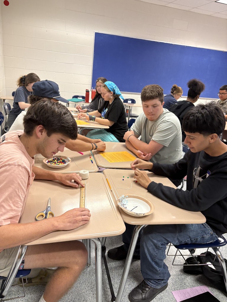 ECON Bead Sorting Activity (3)