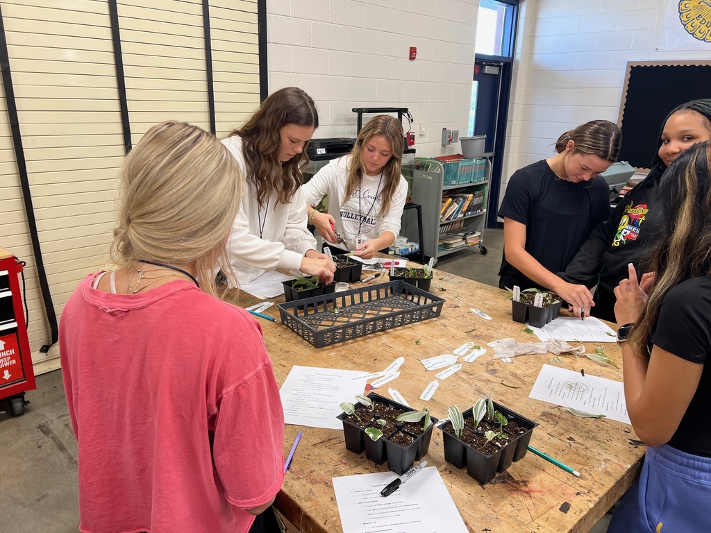 Hands-On Horticulture