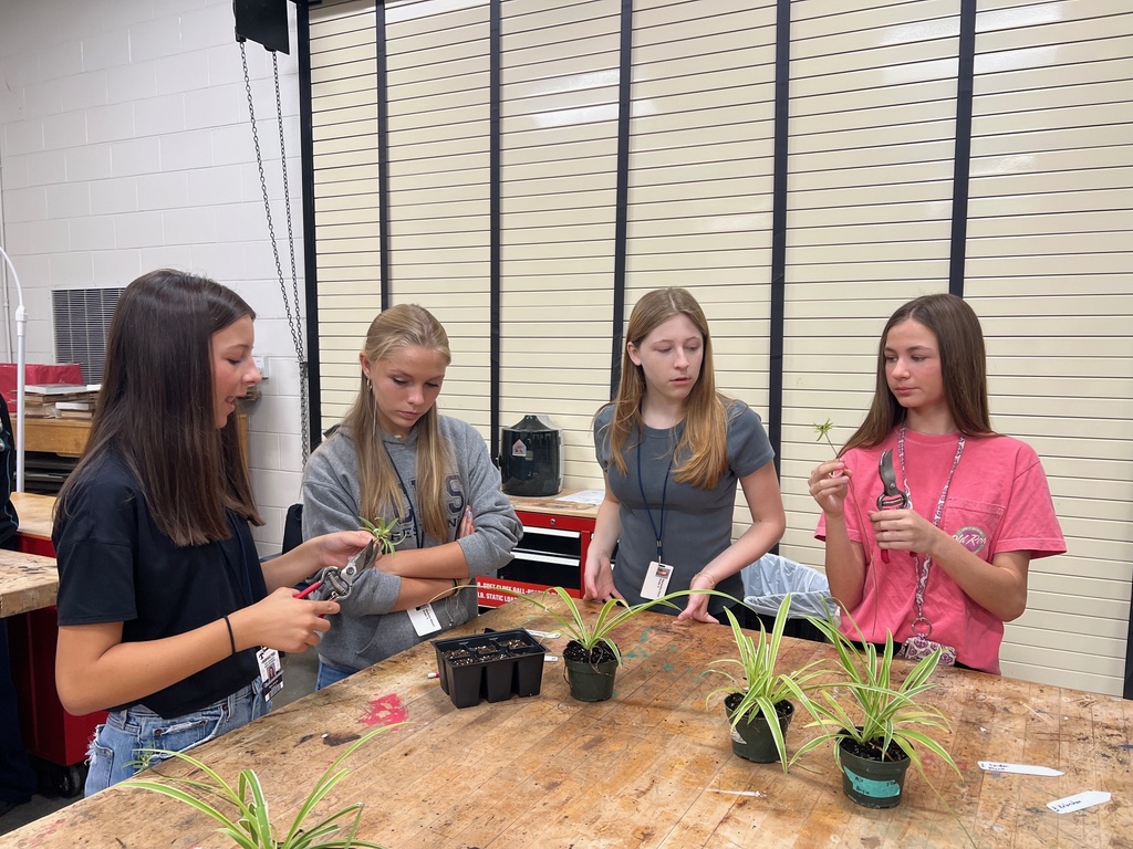Hands-On Horticulture