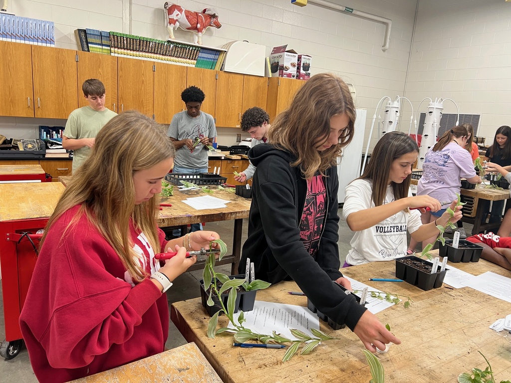 Hands-On Horticulture