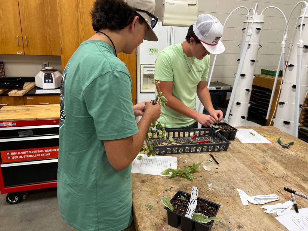 Hands-On Horticulture