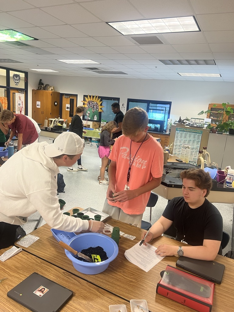  Genetic Drift Simulation (24)