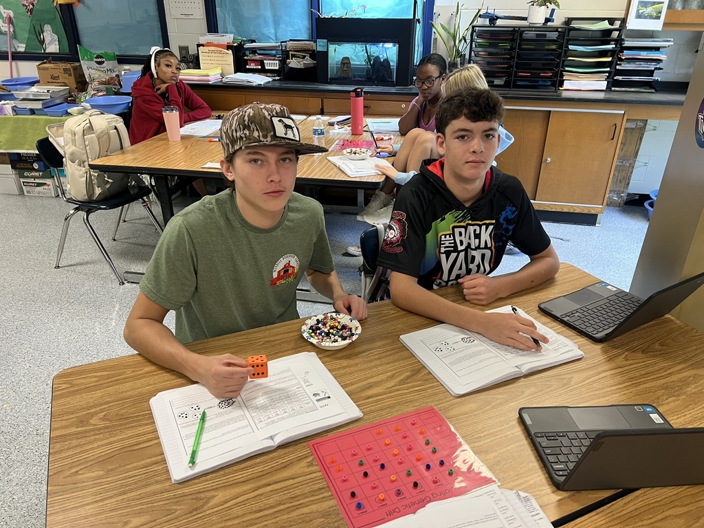  Genetic Drift Simulation (6)
