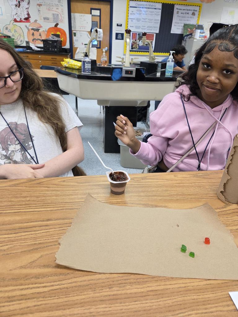 Forensic Soil Study (2)