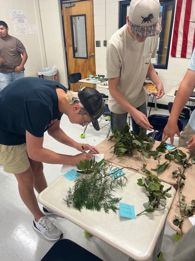 TCHS Forestry Science