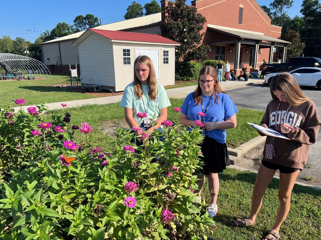 Great Southeast Pollinator Census (1)