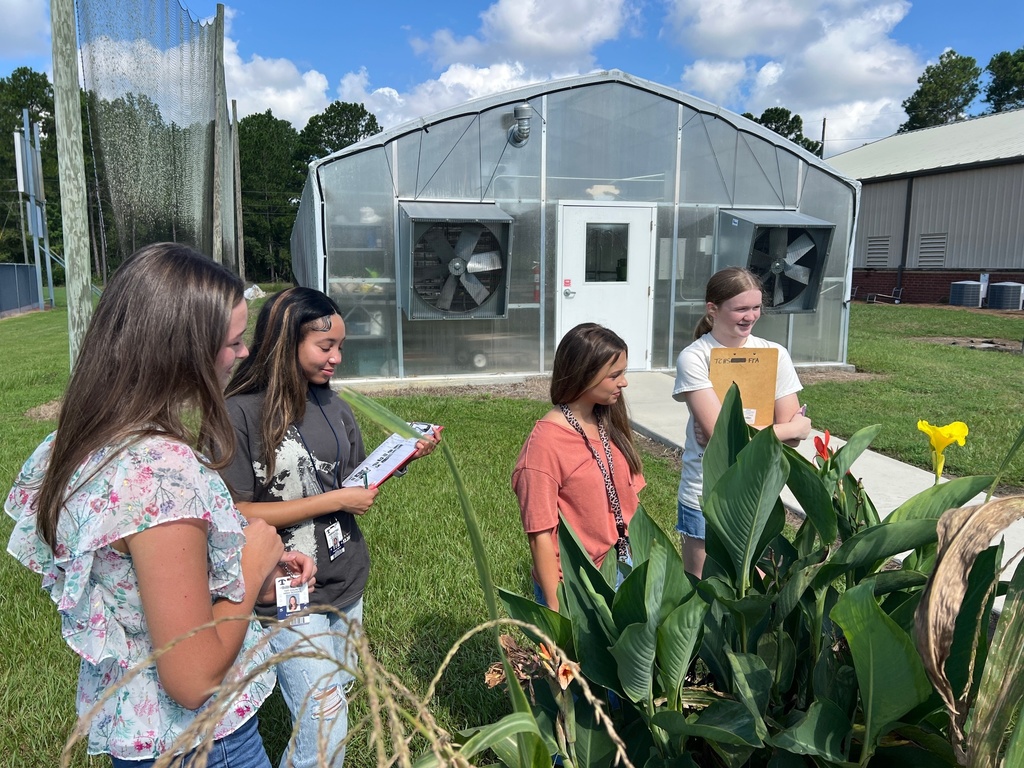 Great Southeast Pollinator Census (7)