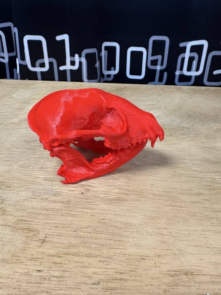 CTAE 3D Print 2
